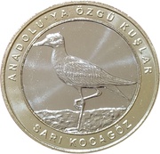 1 Kuruş Eurasian Stone-Curlew reverse image