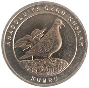 1 Kuruş Eurasian collared dove, Turkey, 2020 reverse image