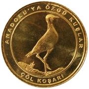 1 Kuruş Cream-Colored Courser, Turkey, 2021 reverse image