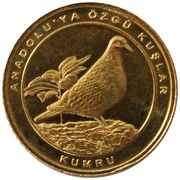 1 Kuruş Eurasian Collared Dove, Turkey, 2021 reverse image