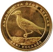 1 Kuruş Eurasian Stone-Curlew, Turkey, 2021 reverse image