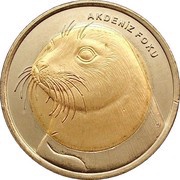 1 Lira Monk Seal, Turkey, 2013 reverse image