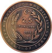 2,5 Lira Nasreddin Hoca No.4 obverse image