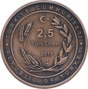 2,5 Lira Akşehir Konya obverse image