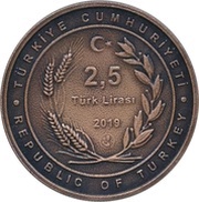 2,5 Lira Imadaddin Nasimi obverse image