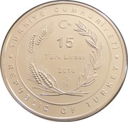 15 Lira Dragonfly obverse image