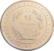 15 Lira Lizard obverse image