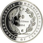 20 Lira Afife Jale obverse image