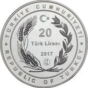 20 Lira Glasswing Butterfly obverse image