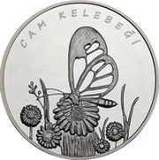 20 Lira Glasswing Butterfly, Turkey, 2017 reverse image