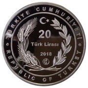 20 Lira Zagan Pasha Mosque obverse image