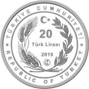 20 Lira Dede Korkut obverse image