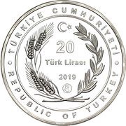 20 Lira Rana holtzi obverse image