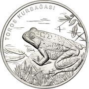 20 Lira Rana holtzi, Turkey, 2019 reverse image