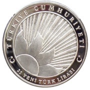 25 New Lira Newyear obverse image