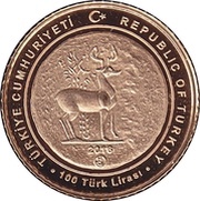 100 Lira Ionians obverse image