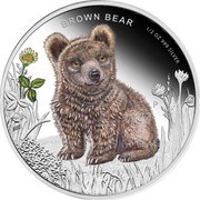 50 Cents - Elizabeth II Brown Bear reverse image