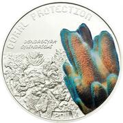 1 Dollar - Elizabeth II Pillar coral, Tuvalu, 2011 reverse image