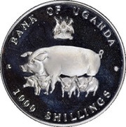 1000 Shillings Year of the Pig obverse image