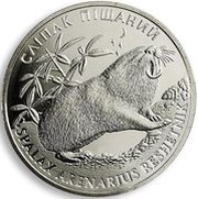 2 Hryvni Sandy Mole Rat, Ukraine, 2005 reverse image