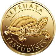 2 Hryvni Turtle, Ukraine, 2009 reverse image