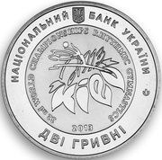 2 Hryvni World Rhythmic Gymnastics Championships obverse image