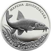 10 Hryven Barbus Borysthenicus, Ukraine, 2018 reverse image