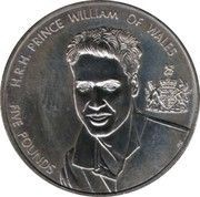 5 Pounds - Elizabeth II Prince William, United Kingdom, 2003 reverse image