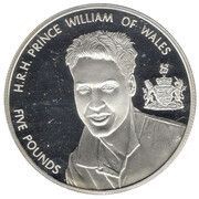 5 Pounds - Elizabeth II Prince William; Silver Proof, United Kingdom, 2003 reverse image