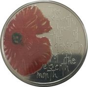 5 Pounds - Elizabeth II Poppy, We Will Remember Them, United Kingdom, 2012-2013 reverse image