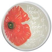 5 Pounds - Elizabeth II Poppy, We Will Remember Them; Silver Proof Issue, United Kingdom, 2012-2013 reverse image