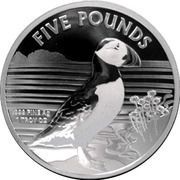 5 Pounds - Elizabeth II Puffin; Silver Bullion, United Kingdom, 2019 reverse image