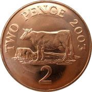 2 Pence - Elizabeth II 4th portrait, United Kingdom, 1999-2012 reverse image