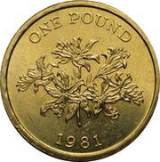 1 Pound - Elizabeth II, United Kingdom, 1981 reverse image