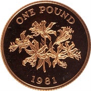 1 Pound - Elizabeth II Gold Proof Issue, United Kingdom, 1981 reverse image