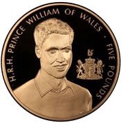 5 Pounds - Elizabeth II Prince William - Gold, United Kingdom, 2003 reverse image