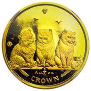 ⅕ Crown - Elizabeth II Exotic Shorthair Cat reverse image