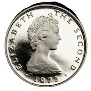½ New Penny - Elizabeth II ragwort; platinum obverse image