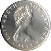 1 New Penny - Elizabeth II ring and celtic chain; silver obverse image