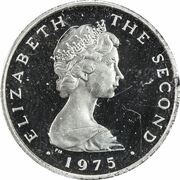 1 New Penny - Elizabeth II ring and celtic chain; platinum obverse image