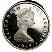 2 New Pence - Elizabeth II Falcons obverse image