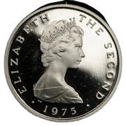 5 New Pence - Elizabeth II 2nd portrait; Platinum Proof obverse image