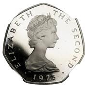50 New Pence - Elizabeth II 2nd portrait; Platinum Proof obverse image