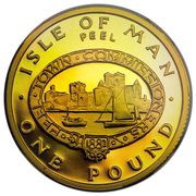 1 Pound - Elizabeth II Peel; Gold Proof, United Kingdom, 1983 reverse image