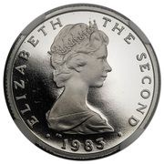 1 Pound - Elizabeth II Peel; Platinum Proof obverse image