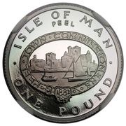 1 Pound - Elizabeth II Peel; Platinum Proof, United Kingdom, 1983 reverse image