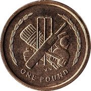 1 Pound - Elizabeth II 3rd portrait reverse image