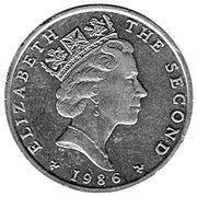 2 Pounds - Elizabeth II 3rd portrait obverse image