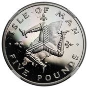 5 Pounds - Elizabeth II 2nd portrait; Platinum Proof, United Kingdom, 1981-1983 reverse image