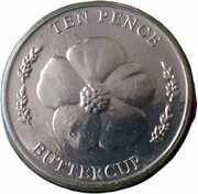 10 Pence - Elizabeth II Buttercup, United Kingdom, 2022 reverse image